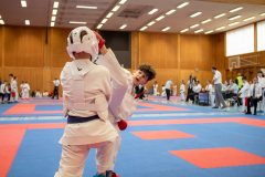 Arian Ajvazi,Junior Karate League,Kumite,Schweiz,Shukokai Dojo Wetzikon,2026,Kriens