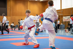 Maximilian Hesse,Junior Karate League,Kumite,Schweiz,Shukokai Dojo Wetzikon,2026,Kriens
