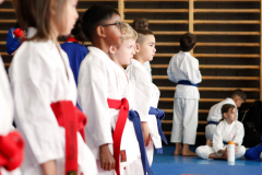 2023, Junior Karate League, Liestal, Kata, Gaetano Diblasi, Schweiz, Shukokai Dojo Wetzikon