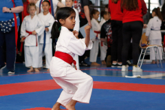 2023, Junior Karate League, Liestal, Kata, Mithusa Rajkumar, Schweiz, Shukokai Dojo Wetzikon