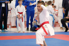 2023, Junior Karate League, Liestal, Kata, Colin McGuinness, Schweiz, Shukokai Dojo Wetzikon