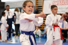 2023, Junior Karate League, Liestal, Kata, Demetrius Monteleone, Schweiz, Shukokai Dojo Wetzikon