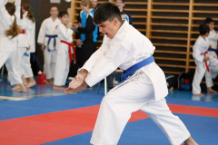2023, Junior Karate League, Liestal, Kata, Devrim Yildirim, Schweiz, Shukokai Dojo Wetzikon