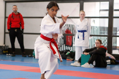 2023, Junior Karate League, Liestal, Kumite, Kata, Mahisa Rajkumar, Schweiz, Shukokai Dojo Wetzikon