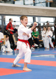 2025, Junior Karate League, Liestal, Schweiz, Shukokai Dojo Wetzikon, Kata, Andrei Negara