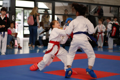 2024, Junior Karate League, Liestal, Schweiz, Kumite, Felicia Sigg, Shukokai Dojo Wetzikon