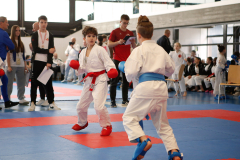 2024, Junior Karate League, Liestal, Schweiz, Kumite, Arian Ajvazi