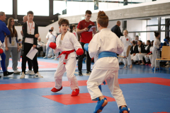 2024, Junior Karate League, Liestal, Schweiz, Kumite, Arian Ajvazi, Shukokai Dojo Wetzikon