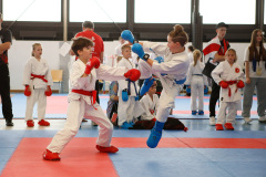2024, Junior Karate League, Liestal, Schweiz, Kumite, Arian Ajvazi, Shukokai Dojo Wetzikon