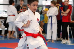 2024, Junior Karate League, Liestal, Schweiz, Kata, Marvin Eisenhut, Ryuei-Ryu Karate Suisse