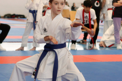 2024, Junior Karate League, Liestal, Schweiz, Kata, Ellie Keller, Shukokai Dojo Wetzikon
