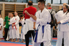 2024, Junior Karate League, Liestal, Schweiz, Kata, Caleb Gossweiler, Shukokai Dojo Wetzikon