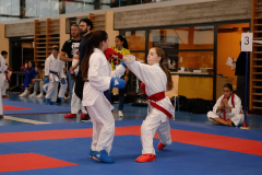2024, Junior Karate League, Liestal, Schweiz, Kumite, Ellie Keller, Shukokai Dojo Wetzikon