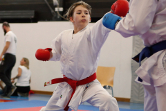 2024, Junior Karate League, Liestal, Schweiz, Kumite, Daniel Riedel, Shukokai Dojo Wetzikon