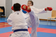 2024, Junior Karate League, Liestal, Schweiz, Kumite, Daniel Riedel, Shukokai Dojo Wetzikon