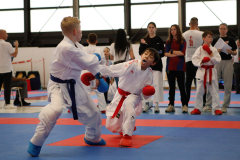 2024, Junior Karate League, Liestal, Schweiz, Kumite, Noah Maurer, Shukokai Dojo Wetzikon
