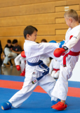 Junior Karate League, Kumite, Schweiz, Wettingen, Shukokai Dojo Wetzikon, 2025, He Qiyou