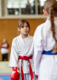 Junior Karate League, Kumite, Schweiz, Wettingen, Shukokai Dojo Wetzikon, 2025, Felicia Sigg