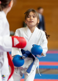 Junior Karate League, Kumite, Schweiz, Wettingen, Shukokai Dojo Wetzikon, 2025, Felicia Sigg