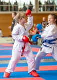 Junior Karate League, Kumite, Schweiz, Wettingen, Shukokai Dojo Wetzikon, 2025, Liora Lippuner