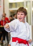 Junior Karate League, Kata, Schweiz, Wettingen, Shukokai Dojo Wetzikon, 2025, Marco Bertschinger