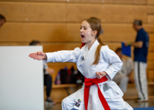 Junior Karate League, Kata, Schweiz, Wettingen, Shukokai Dojo Wetzikon, 2025, Ellie Keller