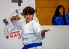 Junior Karate League, Kata, Schweiz, Wettingen, Shukokai Dojo Wetzikon, 2025, Devrim Yildirim