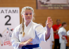 Junior Karate League, Kata, Schweiz, Wettingen, Shukokai Dojo Wetzikon, 2025, Marissa Piconese