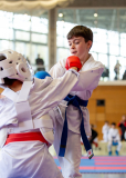 Junior Karate League, Kumite, Schweiz, Wettingen, Shukokai Dojo Wetzikon, 2025, Mihailo Babic