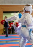 Junior Karate League, Kumite, Schweiz, Wettingen, Shukokai Dojo Wetzikon, 2025, Rian Büsching