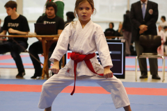2023, Junior Karate League, Windisch, Kata, Schweiz, Brugg, Shukokai Dojo Wetzikon