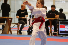 2023, Junior Karate League, Windisch, Kata, Schweiz, Brugg, Shukokai Dojo Wetzikon