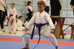 2023, Junior Karate League, Windisch, Kata, Mira Hoffmann, Schweiz, Brugg, Shukokai Dojo Wetzikon