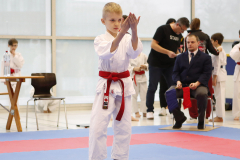 2023, Junior Karate League, Windisch, Kata, Maxim Negara, Schweiz, Brugg, Shukokai Dojo Wetzikon
