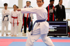 2023, Junior Karate League, Windisch, Kata, Colin McGuinness, Schweiz, Brugg, Shukokai Dojo Wetzikon