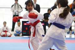 2023, Junior Karate League, Windisch, Kumite, Mithusa Rajkumar, Schweiz, Brugg, Shukokai Dojo Wetzikon