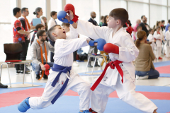 2023, Junior Karate League, Windisch, Kumite, Andy Gonzalez, Schweiz, Brugg, Shukokai Dojo Wetzikon