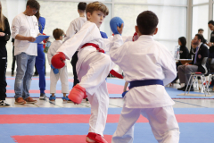 2023, Junior Karate League, Windisch, Kumite, Geti Ukaj, Schweiz, Brugg, Shukokai Dojo Wetzikon