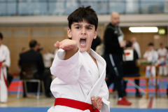2023, Junior Karate League, Windisch, Kata, Devrim Yildirim, Schweiz, Brugg, Shukokai Dojo Wetzikon