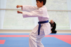 2023, Junior Karate League, Windisch, Kata, Noah Maurer, Schweiz, Brugg, Shukokai Dojo Wetzikon