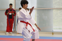 2023, Junior Karate League, Windisch, Kata, Karl Ravas, Schweiz, Brugg, Shukokai Dojo Wetzikon