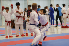 2023, Junior Karate League, Windisch, Kumite, Noah Maurer, Schweiz, Brugg, Shukokai Dojo Wetzikon