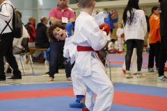 2023, Junior Karate League, Windisch, Kumite, Luca De Blasi, Schweiz, Brugg, Shukokai Dojo Wetzikon