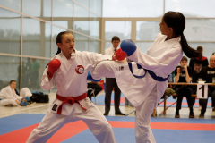 2023, Junior Karate League, Windisch, Kumite, Mahisa Rajkumar, Schweiz, Brugg