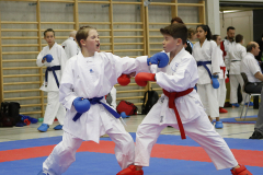 2023, Junior Karate League, Windisch, Kumite, Daniel Riedel, Schweiz, Brugg, Shukokai Dojo Wetzikon