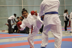 2023, Junior Karate League, Windisch, Kumite, Leithan Aguilar, Schweiz, Brugg, Shukokai Dojo Wetzikon