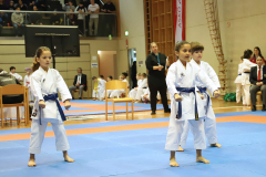 2024, Lions Cup, Lustenau, Team Kata, Kata, Österreich, Shorin Ryu Karate Do Kloten