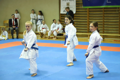2024, Lions Cup, Lustenau, Team Kata, Kata, Österreich, KD Kempten