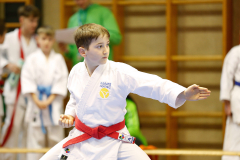 2024, Lions Cup, Lustenau, Kata, Österreich, Julian Schärmer, Karate Hofsteig