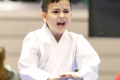 2024, Lions Cup, Lustenau, Kata, Österreich, Ansar Zelmuhanov, Shukokai Dojo Wetzikon